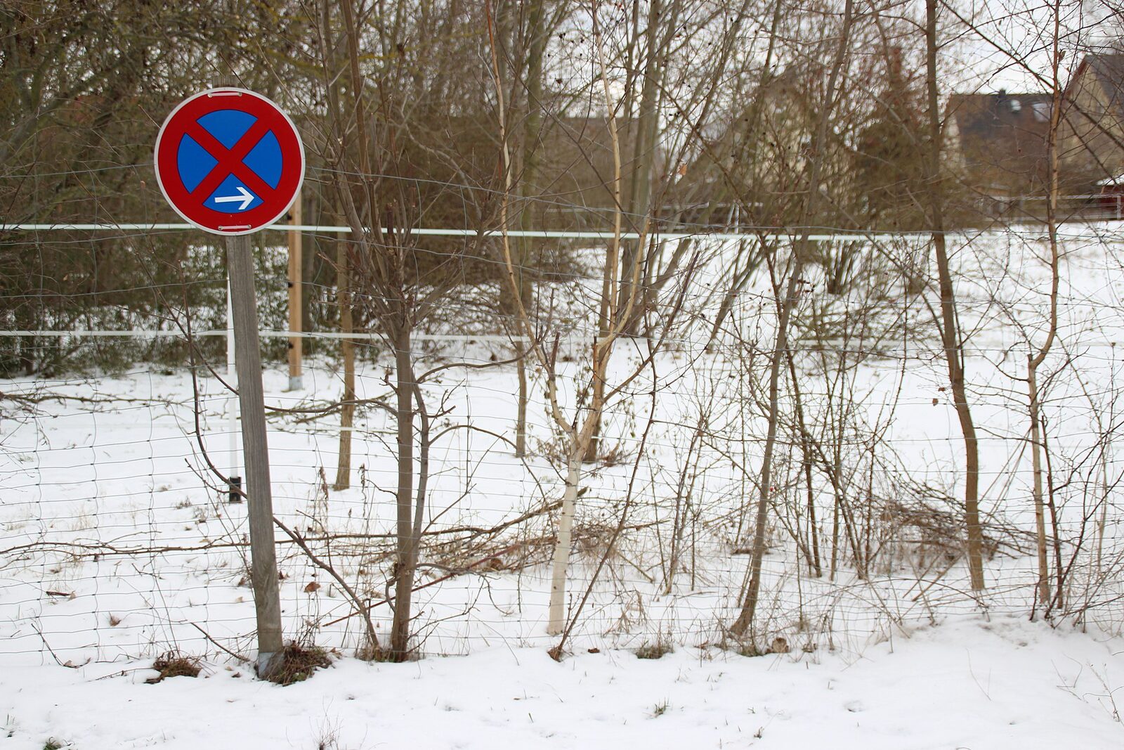 Verkehrszeichen absolutes Halteverbot am Straßenrand